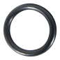 Preview: O-Ring 1210001800 für Comet Pumpen IDS 1401