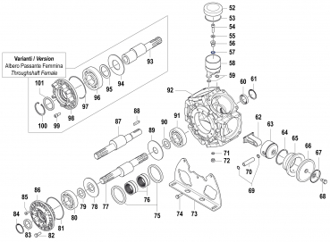 O-Ring 1210009300 für Comet BPS 300
