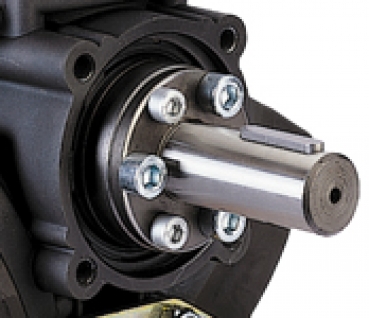 Comet Piston diaphragm pump BP 151 K - 20 bar