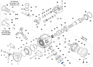 Membranplatte 0602001000 für Comet Pumpen APS 51-61-71