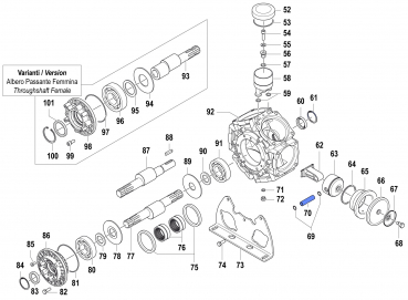 Kolbenbolzen 3011001100 für Comet BPS 300