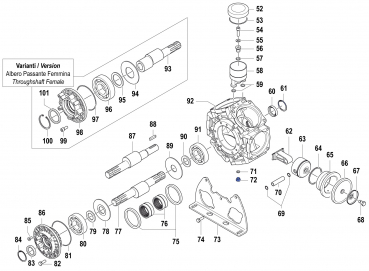 Stopfen 3200001000 für Comet Pumpe BPS 300