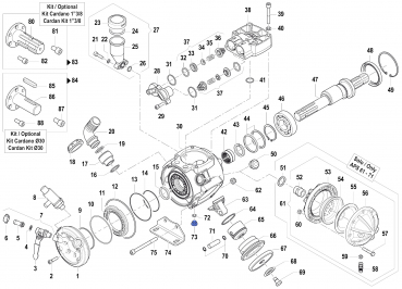 Stopfen 3200001000 für Comet Pumpen APS 51-61-71