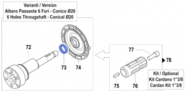 Öldichtung 0019011000 für Comet Pumpen APS 31-41