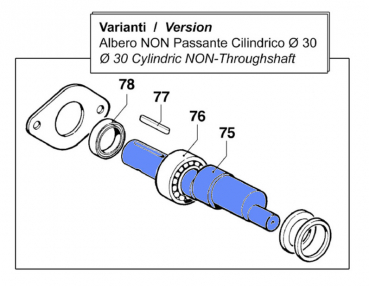 Durchgangswelle 00010136