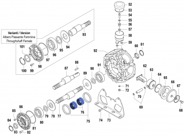 Rollenlager 0437008700 für Comet BPS 300