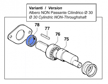 78 Öldichtungen 00190016 für Comet BP 105 Pumpe