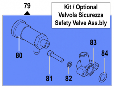 Sicherheitsventil Kit 2803047800 für Comet Pumpen APS 31-41