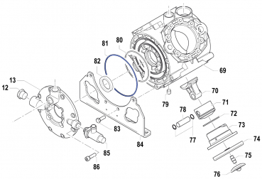 O-Ring 1210070200 für Comet Pumpe APS 145