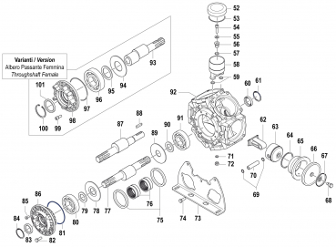 O-Ring 1210038900 für Comet Pumpe BPS 300