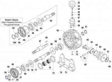 Schliessring 3020001300 für Comet Pumpe BPS 300