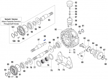 Splint für Comet Pumpe BPS 300