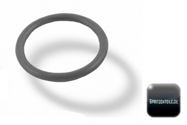 Arag O-Ring EPDM for Fittings 2