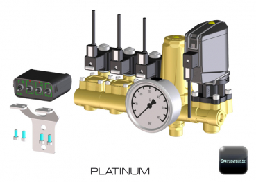 Braglia Armatur PLATINUM mit Schaltkasten