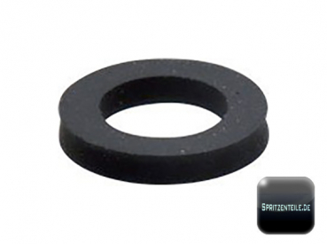 Rau Dichtung RG00000499