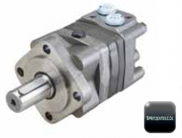 RAU Hydromotor OMR 100
