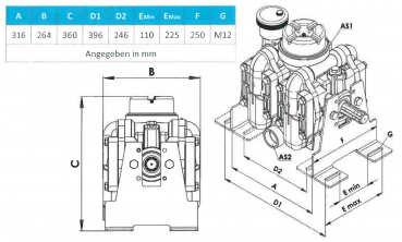 Rau Pumpe P260 Aufriß und Maße