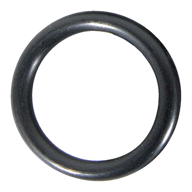 O-Ring 1210001800 für Comet Pumpen IDS 1401