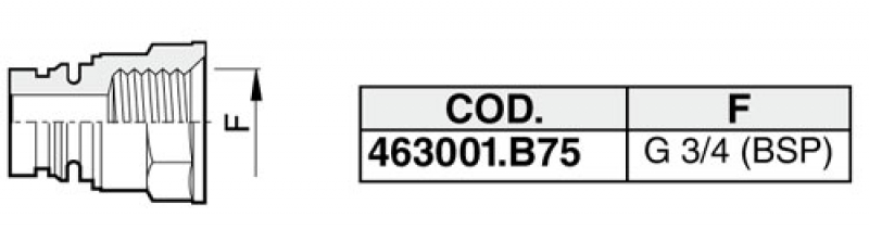 Arag Connection with internal thread ¾"