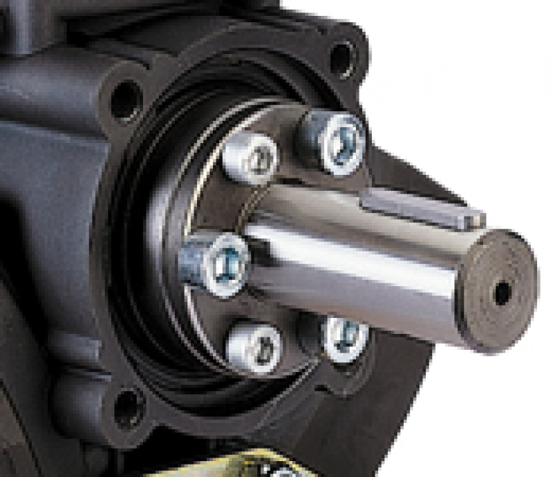 Comet-Hochdruckpumpe APS 96 - 50 bar