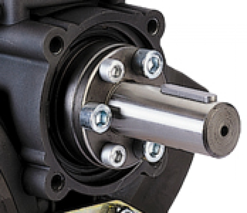 Comet Piston diaphragm pump BP 151 K - 20 bar