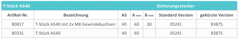Rau T-Stück AS40