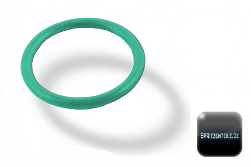 Rau O-ring in Viton rg00037618