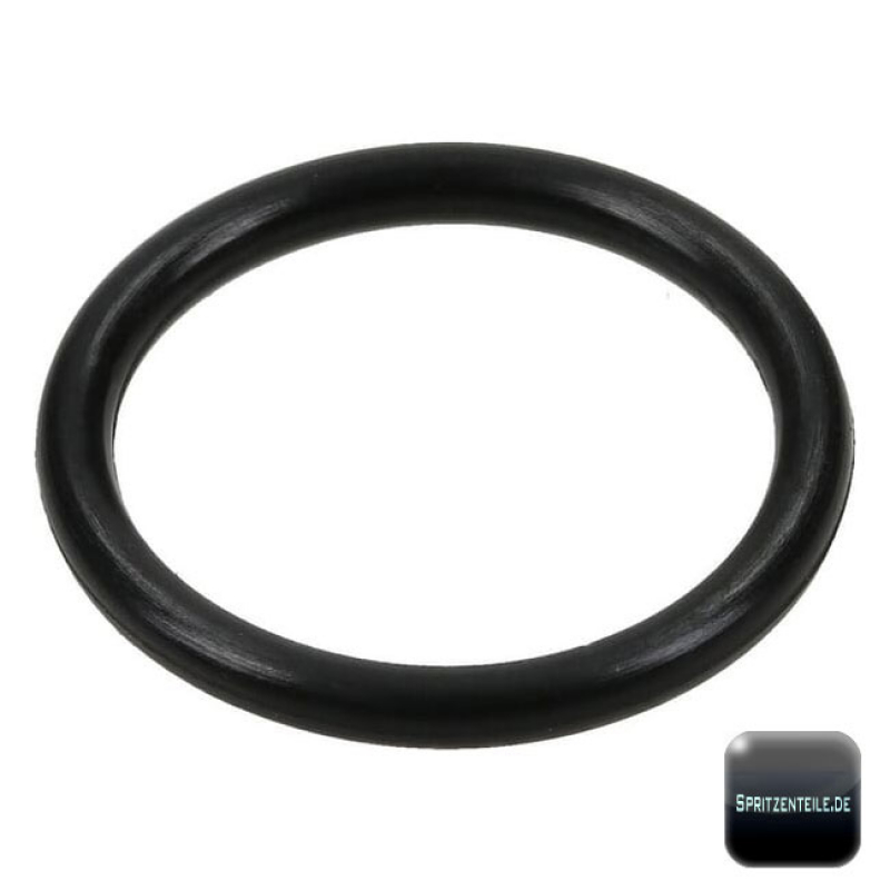 Rau O-Ring RG00026047
