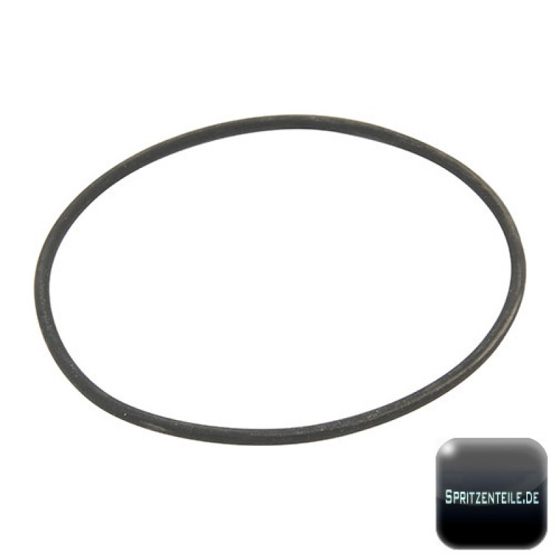 RAU O-Ring RG00081701 für Filterhahn U2